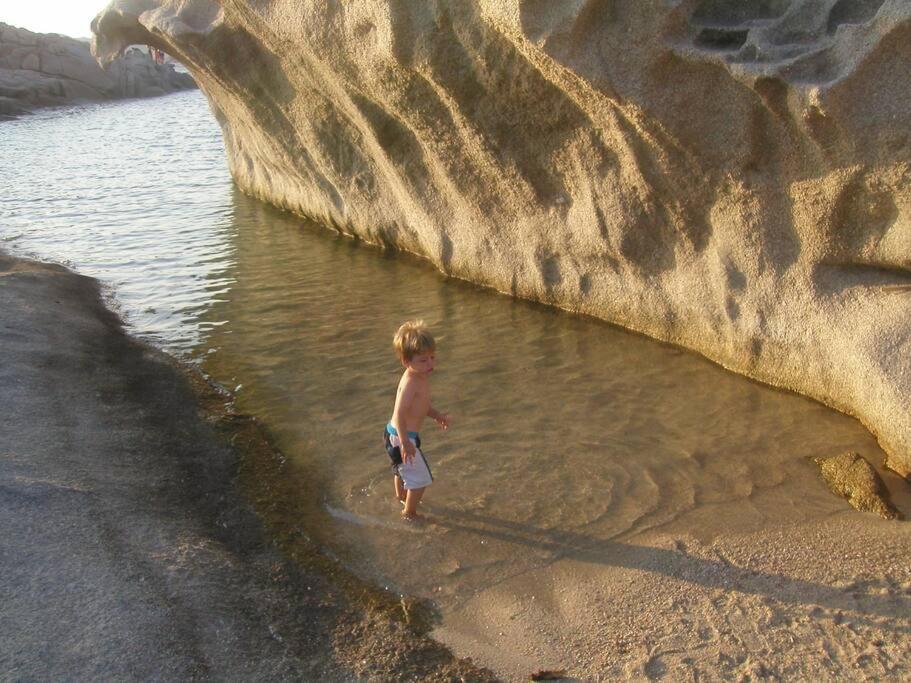 Appartamento Con Piscina E Aria Condizionata La Maddalena  Extérieur photo